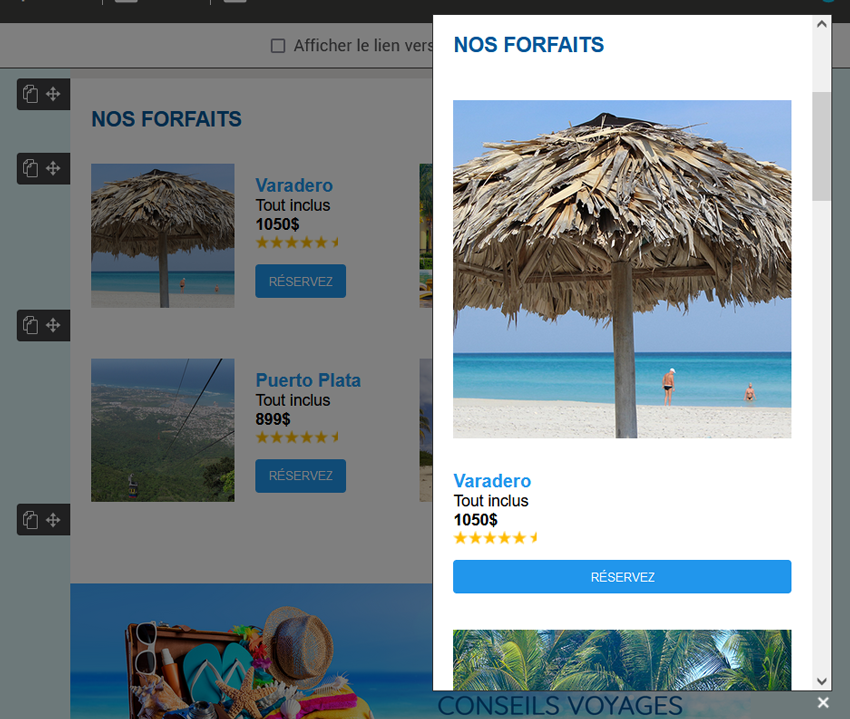 version-mobile-responsive-du-modele