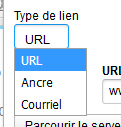 cochez-type-url